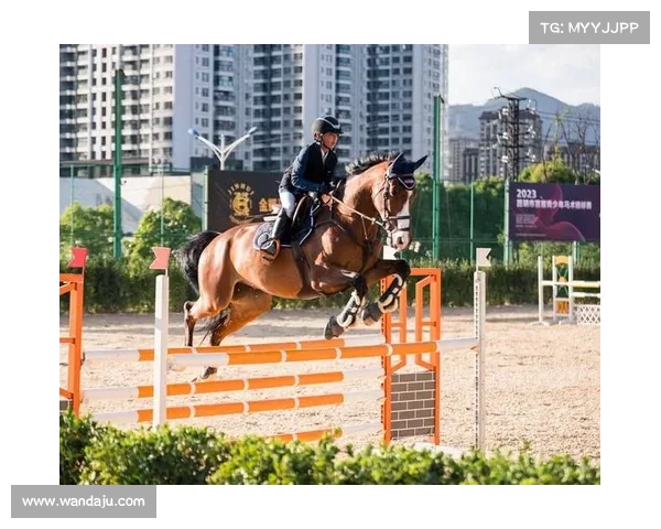 青少年马术比赛